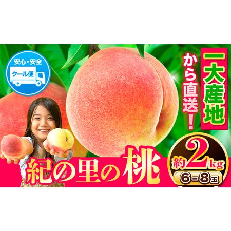 ふるさと納税 桃 もも 和歌山県産 紀の里の桃 約2kg 《2024年6月中旬-8月中旬頃より順次出荷》 送料無料 6〜8玉入り 旬の桃を厳選 あかつき .. 和歌山県紀の川市