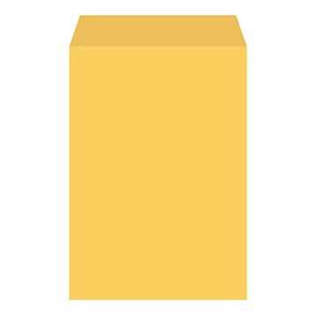 B5 金黃公文信封 5張