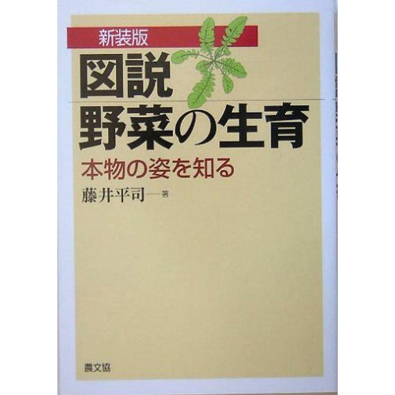 図説 野菜の生育?本物の姿を知る