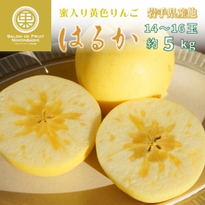 [予約 2023年 12月1日-12月31日の納品] はるか 約5kg 14-16玉 大玉 岩手県産他 希少品種 高糖度 甘い 林檎用 化粧箱 りんご　冬ギフト お