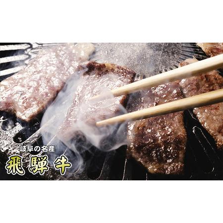 ふるさと納税 牛肉 飛騨牛 焼肉 希少部位 三角バラ 300ｇ 黒毛和牛 Ａ5 美味しい お肉 牛 肉 和牛 焼き肉 BBQ バーベキュー  岐阜県池田町