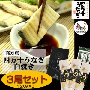  [四万十青のり入り!!] 白焼き3尾セット||ウナギ 鰻 蒲焼き ひつまぶし ちらし寿司 うなぎ お取り寄せグルメ