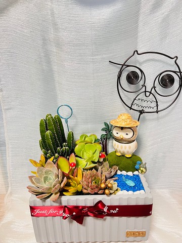 溫馨家庭客製組盆 開幕 新居落成 升官喬遷 婚禮 生日 交換禮物