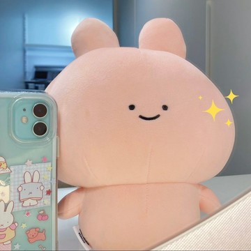 ✨臺灣出貨✨超萌asamimi阿莎咪米玩偶可愛超軟粉紅兔子公仔女生治癒生日禮物
