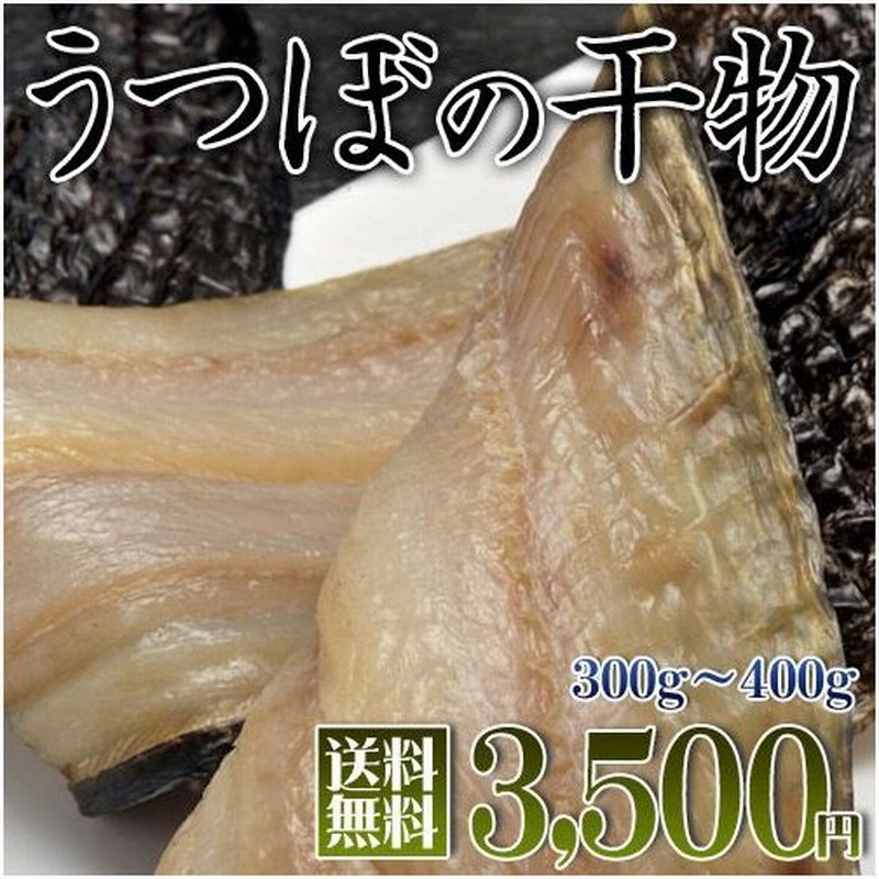 三重産 うつぼの干物 300 400g 送料無料 冷凍 ソロモン流に登場 萩原章史うまいもんドットコムの姉妹サイト 同梱不可 通販 Lineポイント最大0 5 Get Lineショッピング