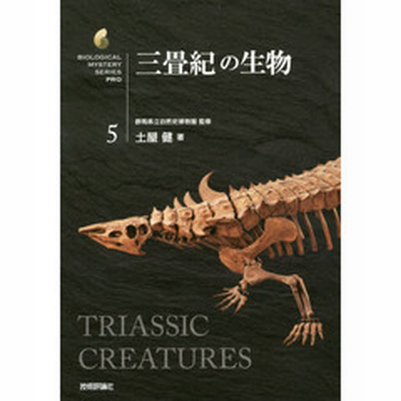 三畳紀の生物 通販 Lineポイント最大2 0 Get Lineショッピング