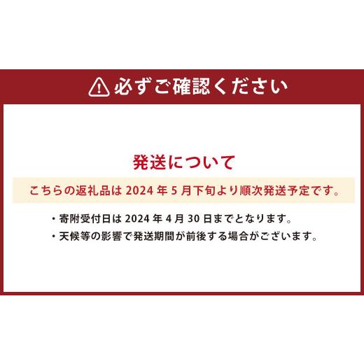 ふるさと納税 熊本県  熊本県産 マンゴー 4玉 計約2kg フルーツ 果物 くだもの 熊本県産