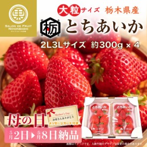 [予約 2024年1月5日-1月30日の納品] とちあいか いちご 約300g×4パック 苺 栃木県産