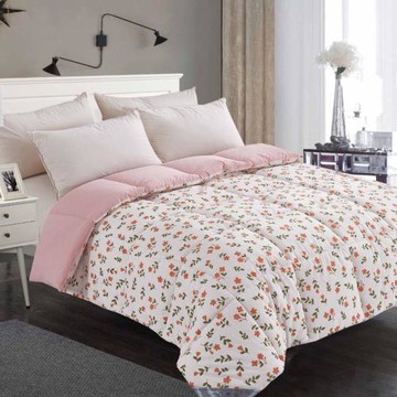 情定巴黎 石墨烯恆溫發熱加厚冬被-二選一(180x210cm)