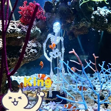 【臺灣出貨】可動關節仿真骷髏擺件 自由擺放調整姿勢營造氛圍 水族專用防水骨架跳舞小人 無毒樹脂耐水泡不易褪色變質