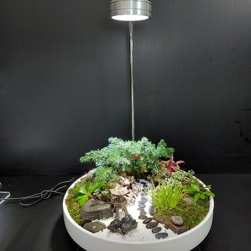 和風庭園盆景 Ak-3030白瓷圓盆        禪風秘境 遐思療癒