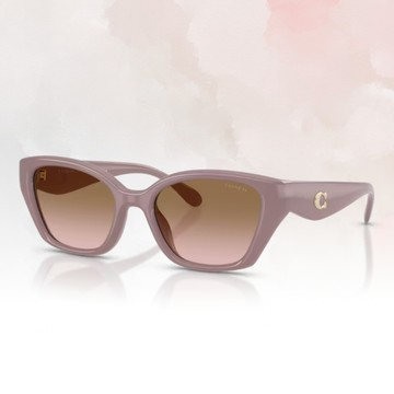 【COACH】貓眼膠框太陽眼鏡(HC8434U-549511)