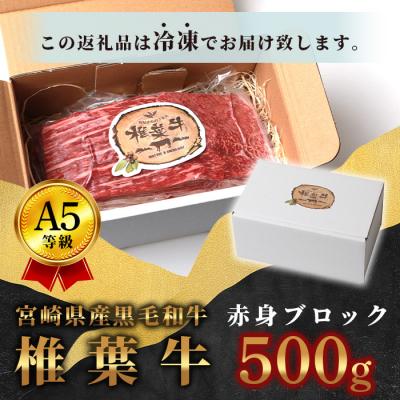 ふるさと納税 椎葉村 宮崎県産 椎葉牛 赤身ももブロック 500g