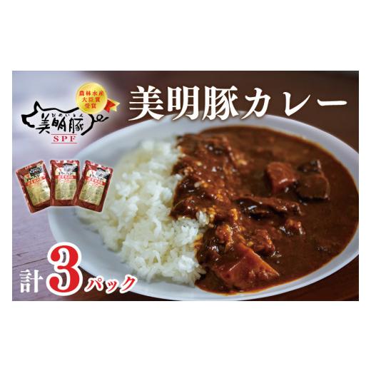 ふるさと納税 茨城県 行方市 DT-47カレー３袋