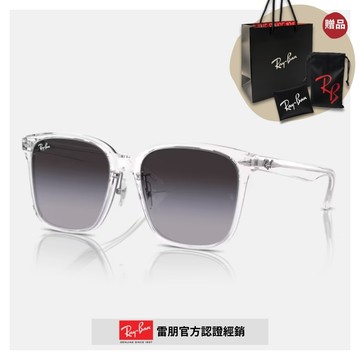 【RayBan 雷朋】膠框太陽眼鏡(RB2206D-64478G 57mm)