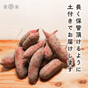 ふるさと納税 干し芋屋のさつまいも 熟成 紅はるか 生芋 10kg 無添加 無着色 茨城県産 サツマイモ 土付き 芋 さつまいも さつま芋 薩摩芋 紅遥 .. 茨城県大洗町