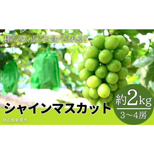 ふるさと納税 岡山県 新見市 林農園 シャインマスカット 約2kg 3〜4房 