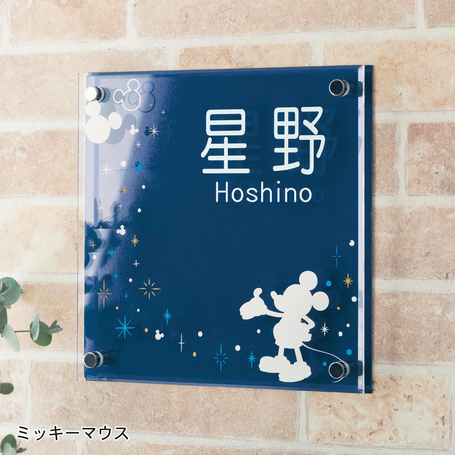 アクリル ステンレスのカラー表札 選べるキャラクター ディズニー 通販 Lineポイント最大10 0 Get Lineショッピング