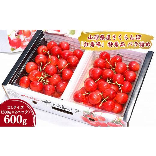 ふるさと納税 山形県 寒河江市 令和6年産 特秀品 さくらんぼ「 紅秀峰 」600g (300g×2パック) ２L以上 2024年産 山形県産 山形産 【2024年6月下旬頃〜7月上旬…