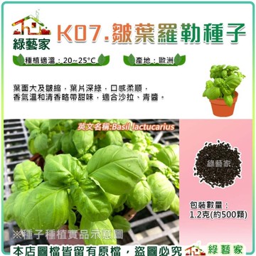 【綠藝家】K07.皺葉羅勒種子1.2克(約500顆)萵苣葉型 葉大皺縮，深綠，香氣溫和清香略帶甜味，適合