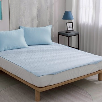 Ishur 伊舒爾 3D極凍涼蓆墊  單人  藍色