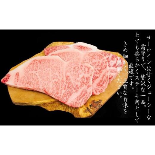 ふるさと納税 兵庫県 赤穂市 牛肉 兵庫県産 黒毛和牛 サーロイン ステーキ 220g×3[ お肉 アウトドア バーベギュー BBQ 霜降り