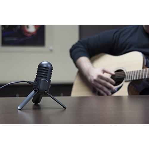 Samson Meteor Mic USB Studio Microphone (Titanium Black)(US Version importe 並行輸入品