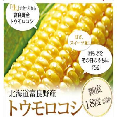 ふるさと納税 富良野市 「生」で食べられる!北海道富良野産　トウモロコシ　恵味(めぐみ)　10本入り