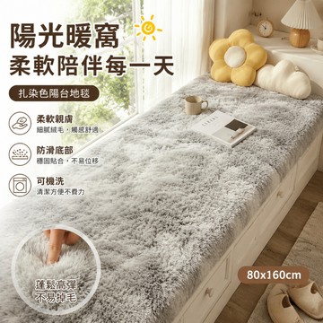 隔日達🏠長毛地毯 絨毛地毯 飄窗地毯 長絨毯 地毯 扎染絲毛絨地毯 加厚毛地毯 客廳臥室地毯 加厚毛地毯 北歐風地毯