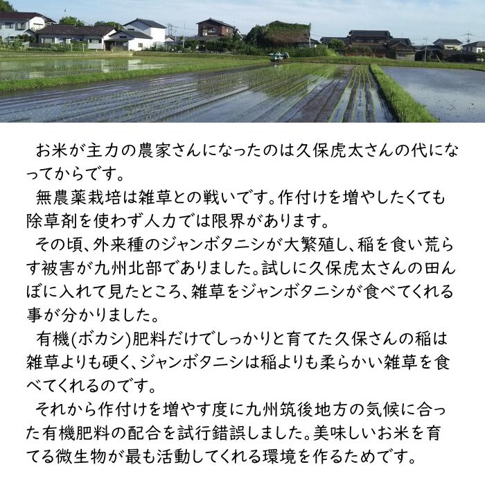 無農薬 無肥料 栽培米 5Kg 選べる 白米 分づき 福岡県産 令和5年度産 元気つくし 筑後久保農園