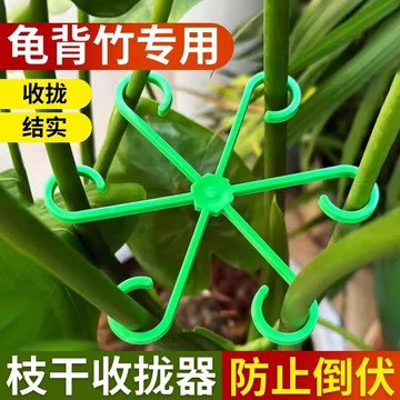 台灣現貨📣支撐架 植物固定架  防倒塌  一包四入裝龜背竹固定器 固定架 觀葉植物 園藝工具 莖葉支撐