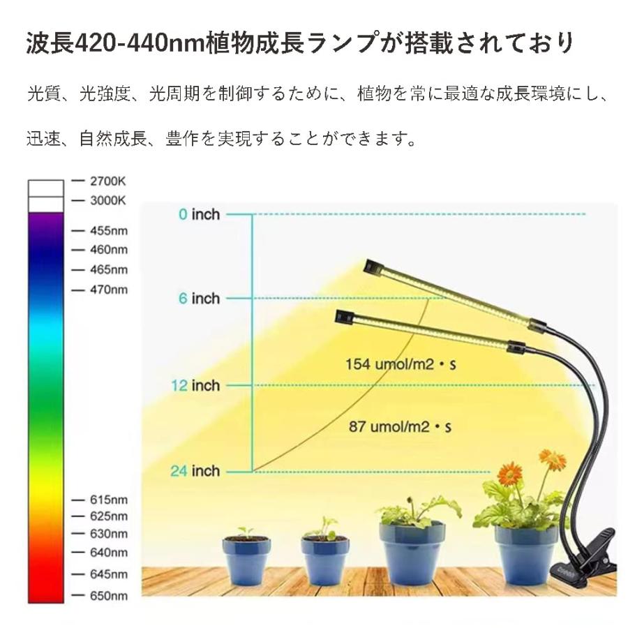 育苗ポット植物育成ライト付き セット 育苗トレイ 育苗箱 12穴 高くする透明カバー 種子トレイ 発芽 育苗セット 種まきハウス 苗箱