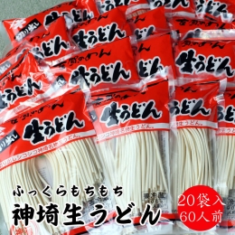 ふっくらモチモチ神埼生うどん 20袋入 (H014114)