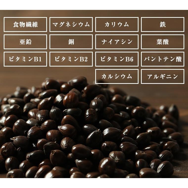 ハトムギ スナック 100g 3袋 セットそのまま 食べる はと麦 ヨクイニン はとむぎの実 はとむみ 送料無料