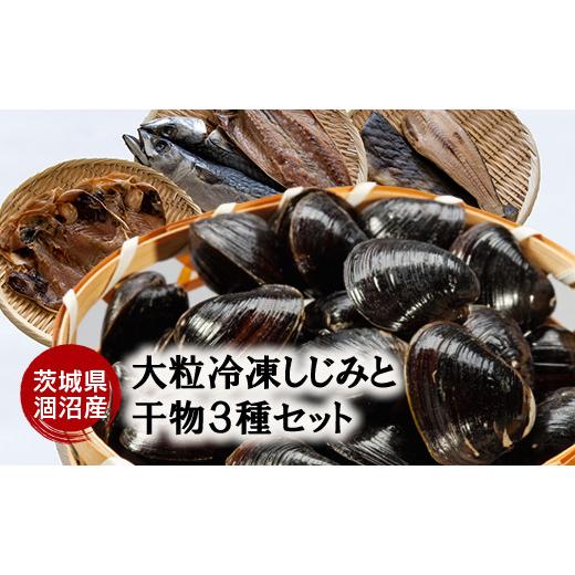 ふるさと納税 茨城県 大洗町 涸沼産 大粒 冷凍 シジミ 1.5kg 干物 3点セット （サバ ホッケ 目光） しじみ 蜆 大和しじみ ヤマトシジミ 大玉 砂抜き済 冷凍 味…