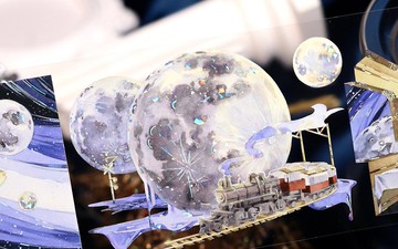 挽星漫遊 PET 和紙膠帶 貝殼光 台灣大年 10米卷