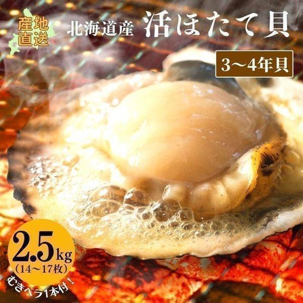 ホタテ 活ホタテ（3〜4年貝）2.5kg（14〜17枚） ほたて 海鮮ギフト 北海道産 産地直送 御中元 お中元 暑中見舞 誕生日 内祝 北海道ギフト 父の日