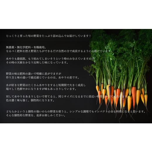 ふるさと納税 千葉県 我孫子市 季節の野菜セット (8~10種)