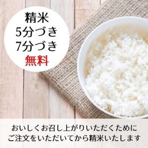 ふるさと納税 新米 令和5年産 京都 丹波産 こしひかり 玄米 10kg（5kg×2袋）6回 計60kg≪5つ星お米マイスター 厳選 受注精米可 .. 京都府亀岡市