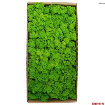 青草綠 mhcb-tx 永生苔蘚青苔蘚微景觀裝飾道具永生苔蘚牆