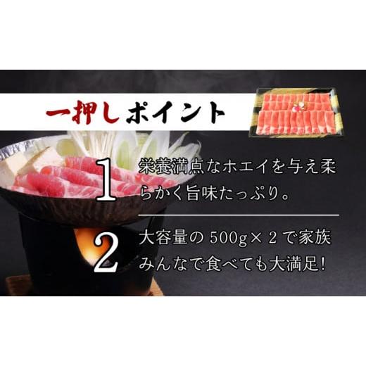 ふるさと納税 北海道 登別市 のぼりべつ豚ロース（しゃぶしゃぶ用・すきやき用）各500g 計1kg