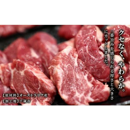 ふるさと納税 特撰 生ラム (冷凍）タレ付 600g＜肉の山本＞ ラム肉 羊肉 ジンギスカン タレ ラム 鍋 北海道 北海道千歳市