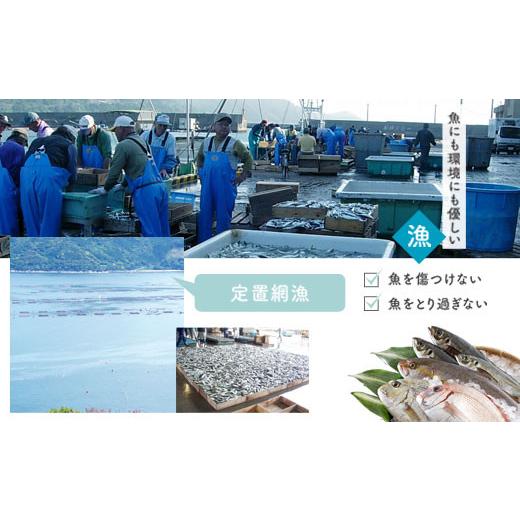 ふるさと納税 鹿児島県 肝付町 C09001 地魚詰め合わせセット(約6〜8人分) 