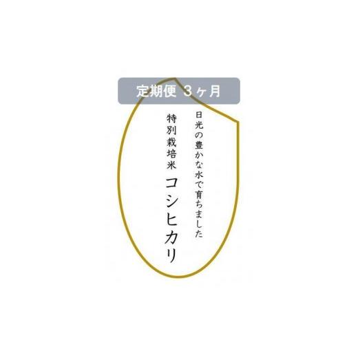 ふるさと納税 栃木県 日光市 令和5年産　特別栽培米コシヒカリ　白米10kg（5kg×2袋）