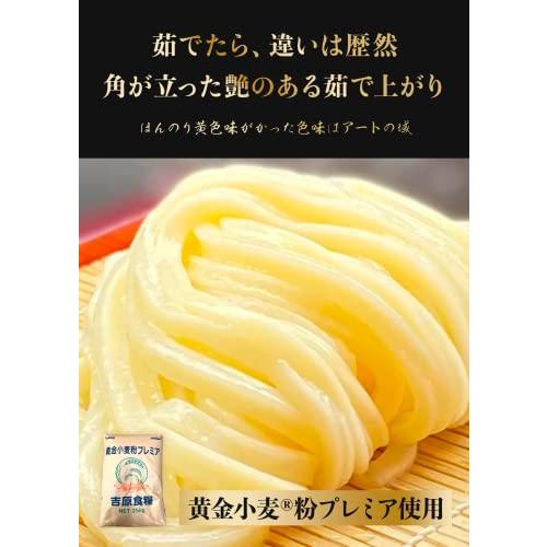 香川 本格手打 もり家 本生 うどん 黄金プレミア デラックス 8人前（つゆ2種類付き） 讃岐うどん さぬきう