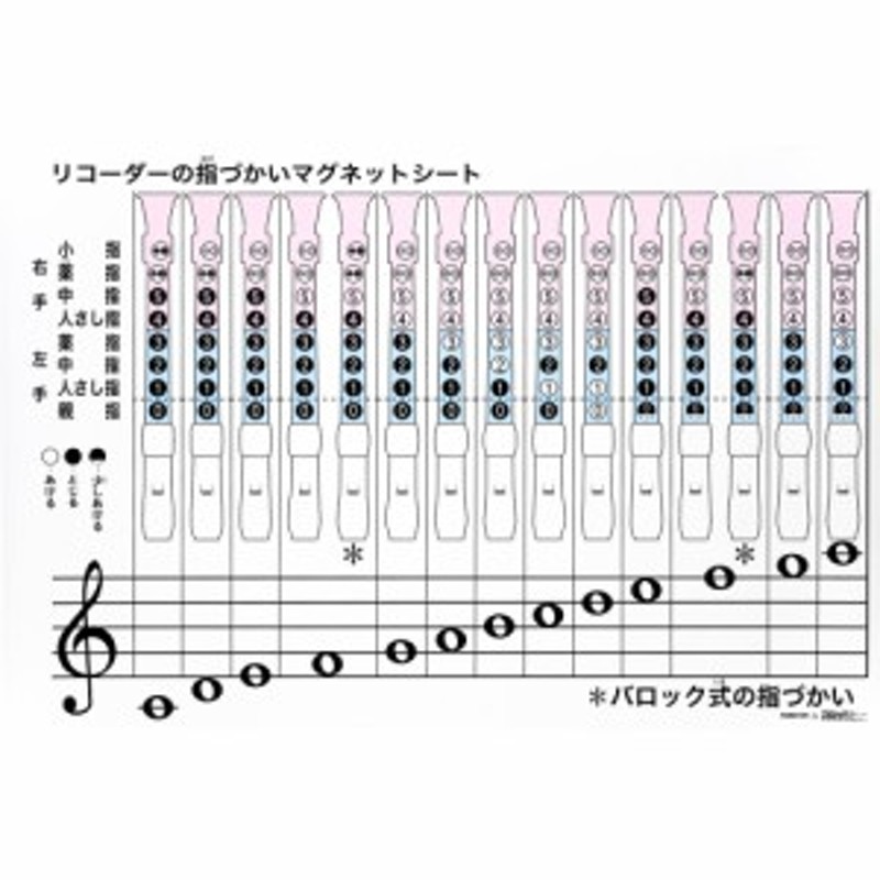 全音 ZRM-5A リコーダーの指づかい 全音階 指導用マグネットシート