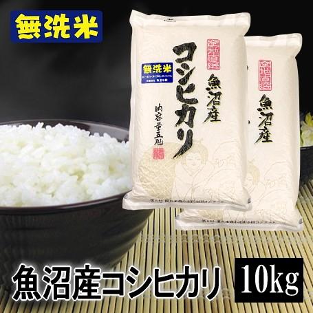 新米 令和5年産 10kg 5kg×2 魚沼産コシヒカリ 無洗米 令和5年産 白米  送料無料（北海道・九州・沖縄は除く）離島は発送不可