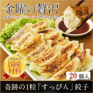 グルメ すっぴん餃子20個 餃子 冷凍 ぎょうざ 食品ロス お試し 送料無料 訳あり