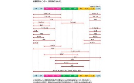 野菜 7～9品目程度 セット 詰め合わせ 季節 新鮮 産地直送 高知県 須崎市