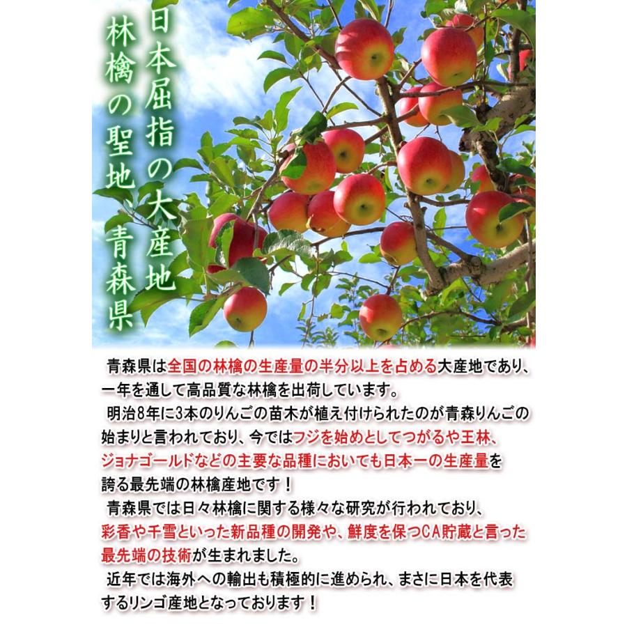 太陽ふじりんご 訳あり 約5kg 12〜22玉 青森県産 みずみずしいシャキッとした食感の青森リン サンフジ りんご 林檎 訳アリ